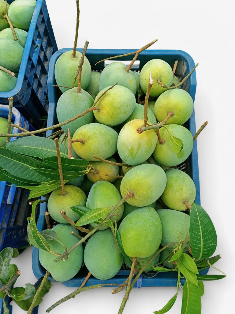 হিমসাগর আম (10 KG)