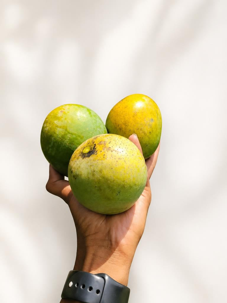 হিমসাগর আম (10 KG)
