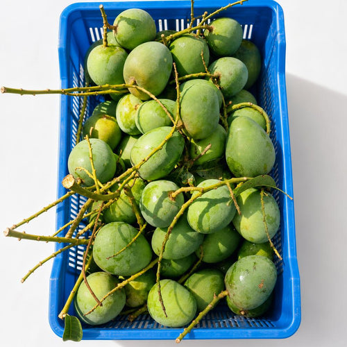 হিমসাগর আম (10 KG)